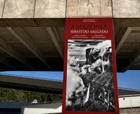 Imagem ilustrativa da imagem “Amazônia”
Primeira grande exposição do Cais das Artes recebe 54 mil visitantes