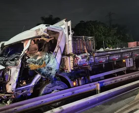 Imagem ilustrativa da imagem Caminhoneiro de 26 anos morre após bater em poste na BR-232