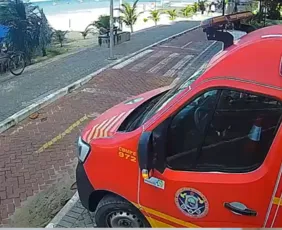 Imagem ilustrativa da imagem Cemit diz que tubarão cabeça-chata foi responsável por ataque a menino na RMR