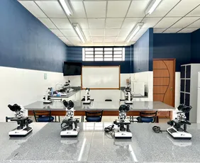 Imagem ilustrativa da imagem Escola Siena vai além do vestibular com idiomas e olimpíadas