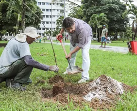 Imagem ilustrativa da imagem Hospital Barão de Lucena realiza plantio de árvores