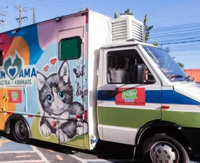 Imagem ilustrativa da imagem Prefeitura do Recife abre agendamento para 800 vagas de castração gratuita em junho