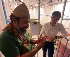 Imagem ilustrativa da imagem Primeira associação indígena de cannabis medicinal do Brasil é criada em Pernambuco