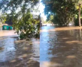 Imagem ilustrativa da imagem Temporais alagam cidades e deixam desalojados na Zona da Mata de PE