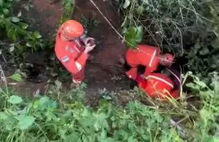 Imagem ilustrativa da imagem Idoso resgatado em buraco na mata no Agreste de PE morre na UPA