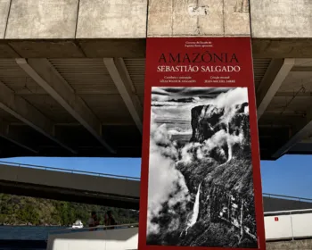 Imagem ilustrativa da imagem “Amazônia”
Primeira grande exposição do Cais das Artes recebe 54 mil visitantes