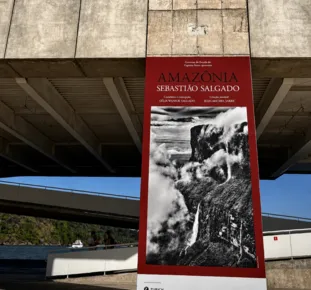 Imagem ilustrativa da imagem “Amazônia”
Primeira grande exposição do Cais das Artes recebe 54 mil visitantes