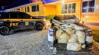 Imagem ilustrativa da imagem Carga de 700 kg de laticínio ilegal é apreendida pela PRF em Garanhuns