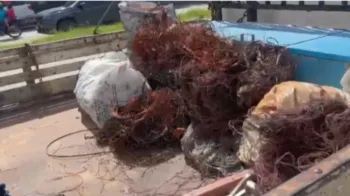 Imagem ilustrativa da imagem Fiscalização da Prefeitura do Recife flagra 200 kg de cobre roubado em ferro-velho
