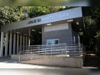 Presidente da OAB-ES Erica Neves