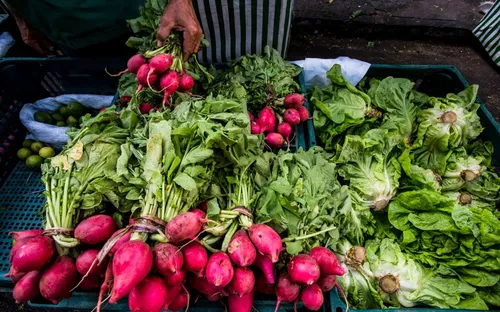 
          Imagem ilustrativa da imagem Agricultura familiar: Feira de Setúbal lança campanha de produtos orgânicos
          