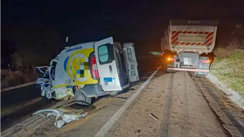 
          Imagem ilustrativa da imagem Ambulância bate em bitrem e três pessoas morrem na BR-316, em Ouricuri
          