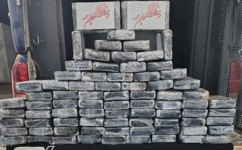
          Imagem ilustrativa da imagem Avião com dois corpos e carga de cocaína é encontrado caído em MT
          
