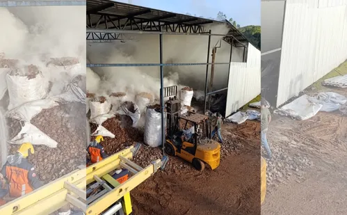 
          Imagem ilustrativa da imagem Bombeiros combatem incêndio em madeireira de Santa Teresa
          
