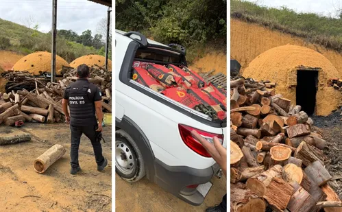 
          Imagem ilustrativa da imagem Carvoaria irregular é alvo de operação da Polícia Civil em Cariacica
          