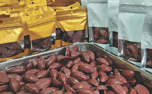 
          Imagem ilustrativa da imagem Casa Santa Leopoldina: arte e sabores da terra
          