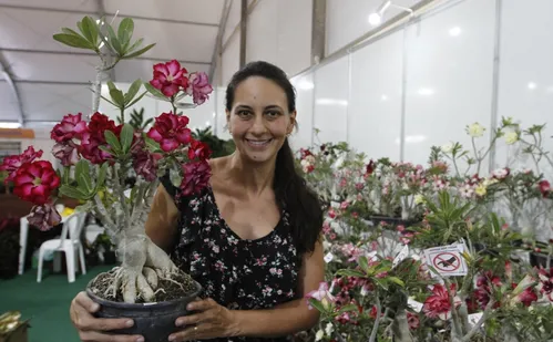 
          Imagem ilustrativa da imagem Delícias artesanais produzidas em família
          