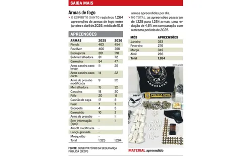 
          Imagem ilustrativa da imagem Dez armas são apreendidas por dia pela polícia no ES
          