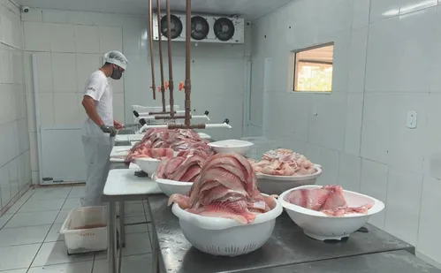 
          Imagem ilustrativa da imagem Doença nos EUA pode elevar demanda por carne do Brasil
          