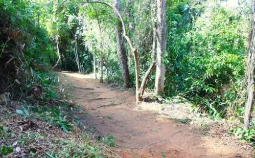 
          Imagem ilustrativa da imagem FOTOS: Parque do Morro da Manteigueira é inaugurado em Vila Velha
          