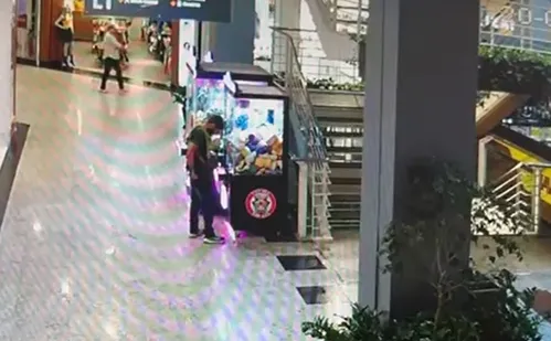 
          Imagem ilustrativa da imagem Homem é preso novamente por roubar bichos de pelúcia de shopping
          