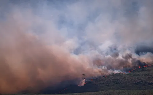 
          Imagem ilustrativa da imagem Homem é preso por iniciar 'pior incêndio da história' na região de Madri
          