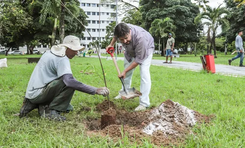 
          Imagem ilustrativa da imagem Hospital Barão de Lucena realiza plantio de árvores
          