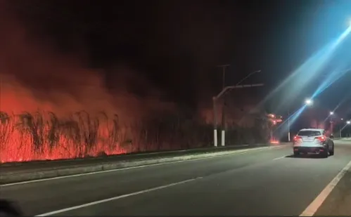 
          Imagem ilustrativa da imagem Incêndio atinge área de mata na Praia da Baleia na Serra
          