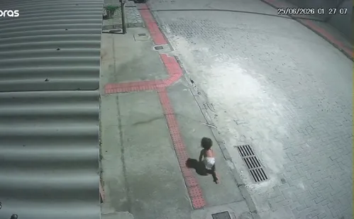 
          Imagem ilustrativa da imagem Mãe pode perder a guarda de bebê encontrado em rua do ES
          