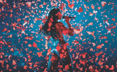 
          Imagem ilustrativa da imagem Momento inédito e intimista de Gal Costa em álbum inédito
          