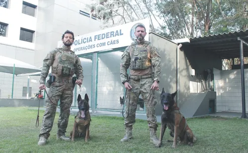 
          Imagem ilustrativa da imagem Nova geração de cães para ajudar a polícia do ES a combater o crime
          