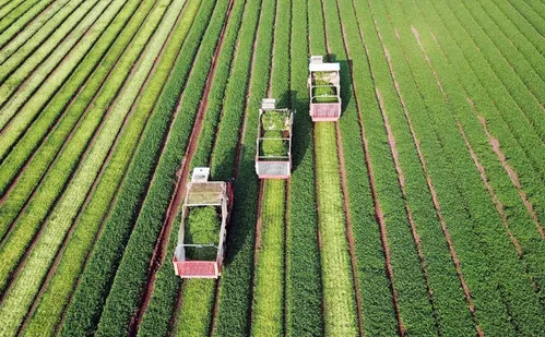 
          Imagem ilustrativa da imagem Novo programa da TV Tribuna/Band, Tribuna Agro estreia dia 07 de junho
          