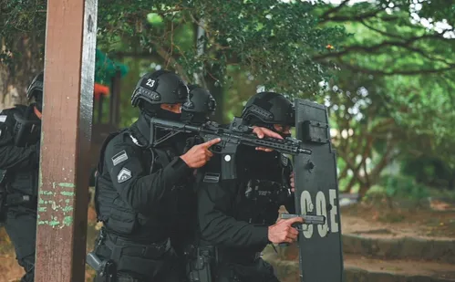 
          Imagem ilustrativa da imagem PM cria tropa de elite para combater o crime organizado
          