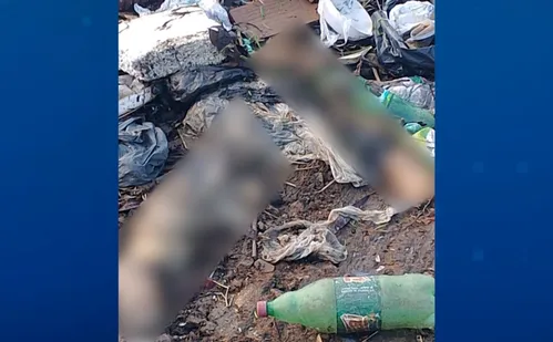 
          Imagem ilustrativa da imagem Pernas humanas são encontradas dentro de sacola em canal de Vila Velha
          