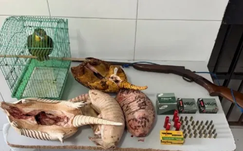 
          Imagem ilustrativa da imagem Polícia apreende tatus, papagaio e armas durante prisão por agressão contra mulher
          