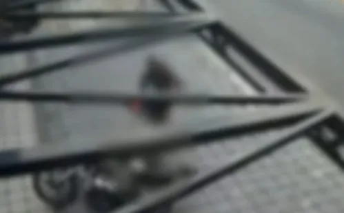 
          Imagem ilustrativa da imagem Policial atira contra dois homens em falso assalto na zona leste de SP
          
