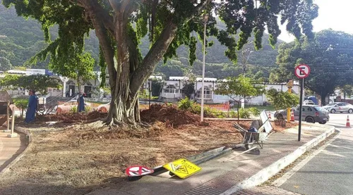 
          Imagem ilustrativa da imagem Prefeitura nega retirada de figueira e inicia obras em canteiro na Praia da Costa
          
