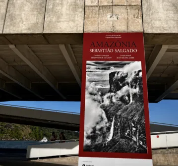 Imagem ilustrativa da imagem “Amazônia”
Primeira grande exposição do Cais das Artes recebe 54 mil visitantes