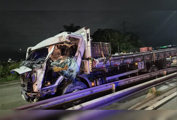 Imagem ilustrativa da imagem Caminhoneiro de 26 anos morre após bater em poste na BR-232