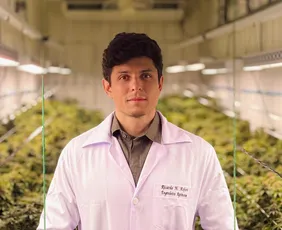 Imagem ilustrativa da imagem Cannabis medicinal cresce como alternativa para a medicina veterinária