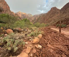 Imagem ilustrativa da imagem Enchente surpreende turistas e deixa 20 desaparecidos no Grand Canyon, nos EUA