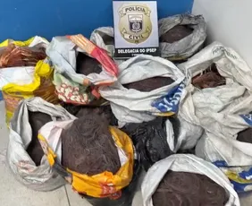 Imagem ilustrativa da imagem Homem é preso com 300 kg de fios de cobre em caminhão na BR-101