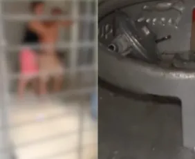 Imagem ilustrativa da imagem Idoso é contido após ameaçar explodir casa com botijão de gás em Camaragibe
