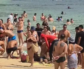 Imagem ilustrativa da imagem Pescador, de 54 anos, morre após passar mal durante mergulho em Fernando de Noronha