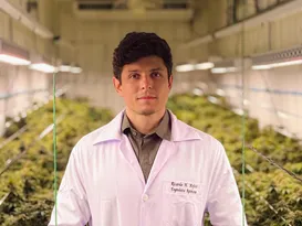 Imagem ilustrativa da imagem Cannabis medicinal cresce como alternativa para a medicina veterinária