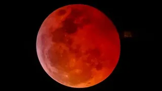 Imagem ilustrativa da imagem Eclipse lunar quase total terá observação gratuita em Olinda