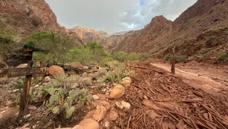 Imagem ilustrativa da imagem Enchente surpreende turistas e deixa 20 desaparecidos no Grand Canyon, nos EUA