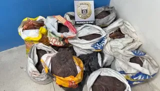 Imagem ilustrativa da imagem Homem é preso com 300 kg de fios de cobre em caminhão na BR-101
