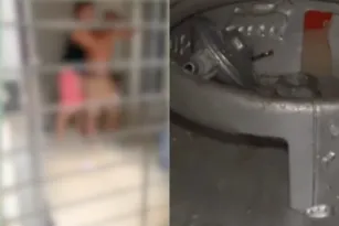 Imagem ilustrativa da imagem Idoso é contido após ameaçar explodir casa com botijão de gás em Camaragibe