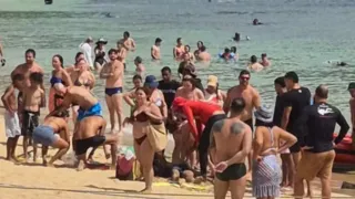 Imagem ilustrativa da imagem Pescador, de 54 anos, morre após passar mal durante mergulho em Fernando de Noronha
